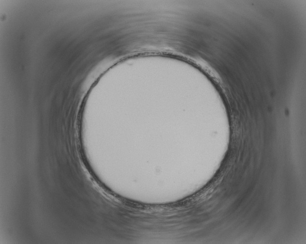 X0000067871287200605111750