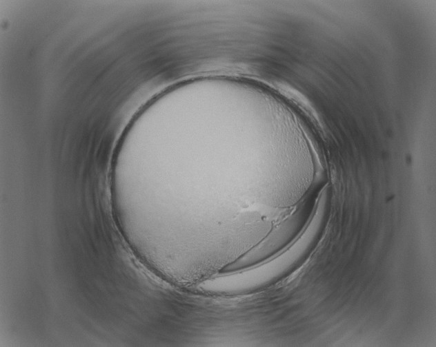 X0000067871288200605111750