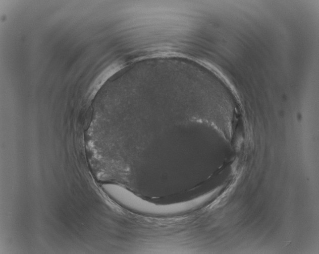 X0000067871289200605111750