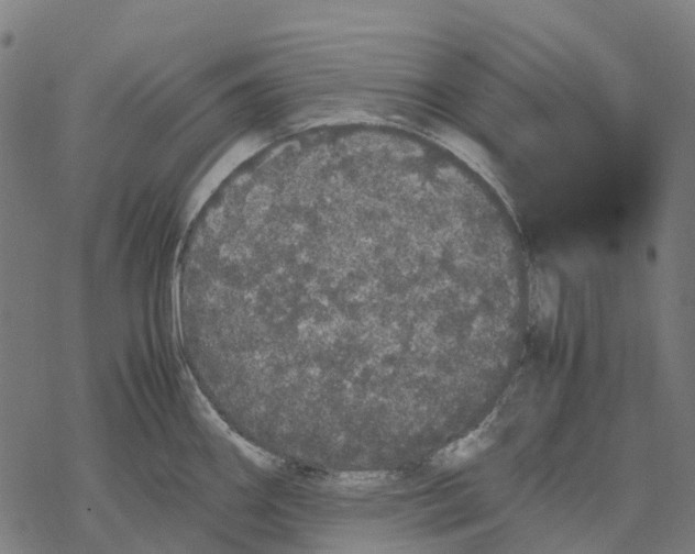 X0000067871290200605111750