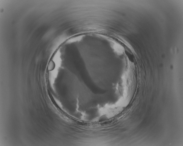 X0000067871291200605111750