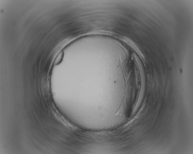 X0000067871292200605111750