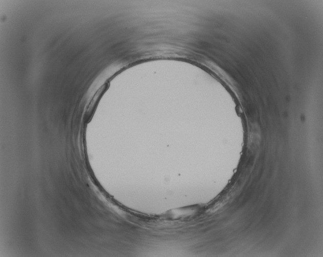 X0000067871293200605111750