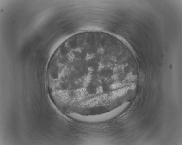 X0000067871295200605111750