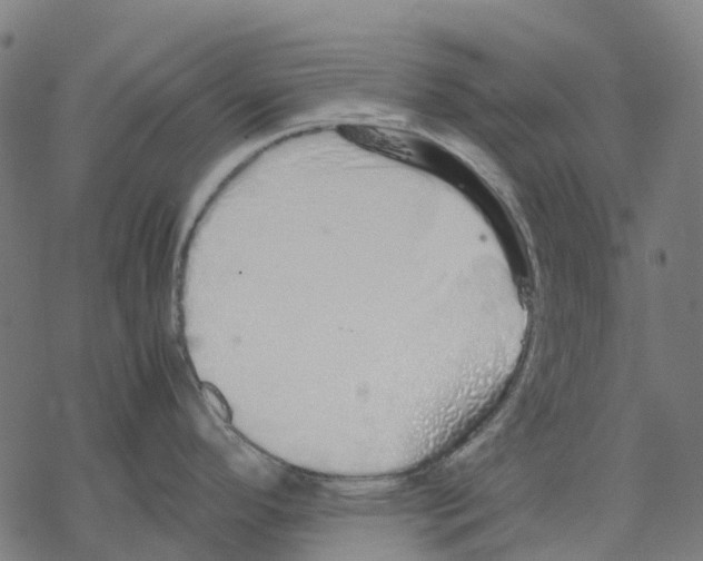 X0000067871296200605111750