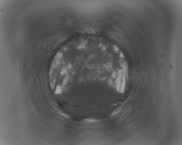 X0000067871297200605111749