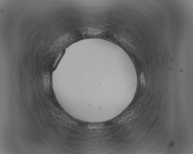 X0000067871299200605111749