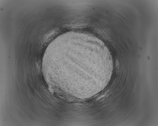 X0000067871300200605111749