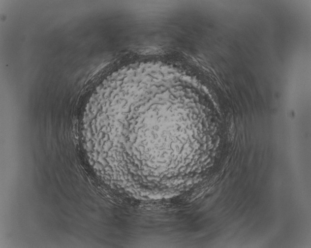 X0000067871301200605111749