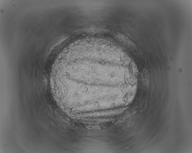 X0000067871302200605111749