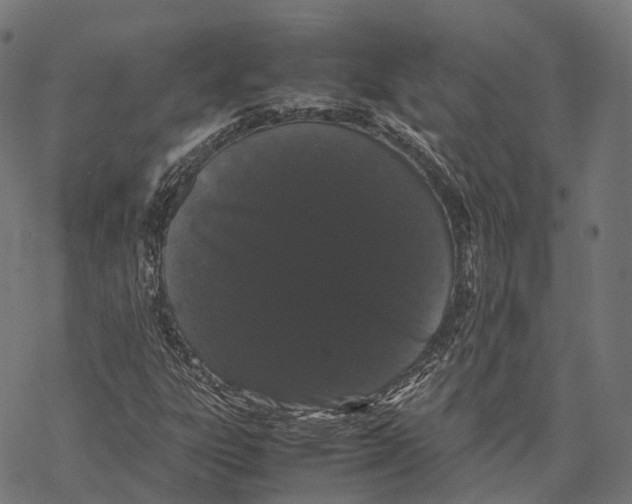 X0000067871303200605111749