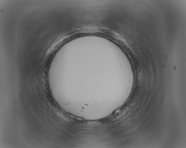 X0000067871304200605111749