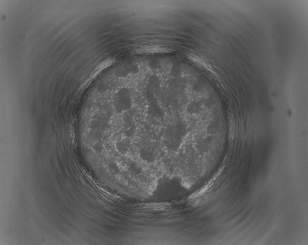 X0000067871305200605111749