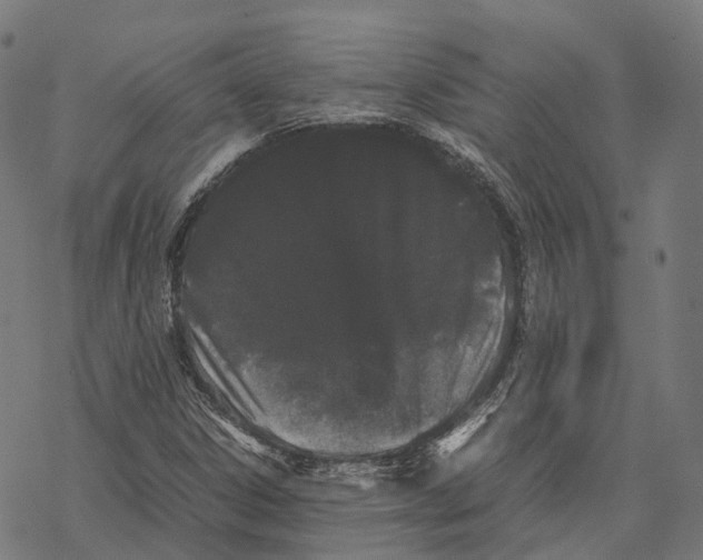 X0000067871306200605111749