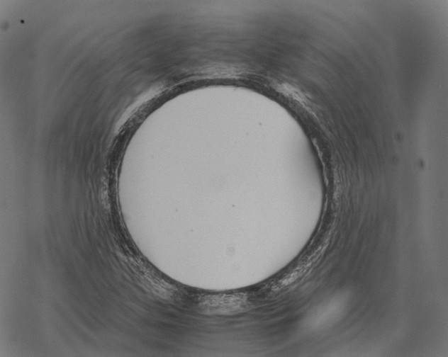 X0000067871307200605111749