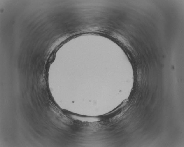 X0000067871308200605111749