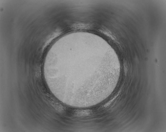 X0000067871309200605111749