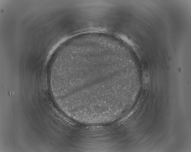 X0000067871310200605111749