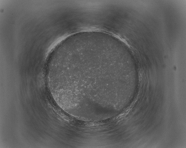 X0000067871311200605111749