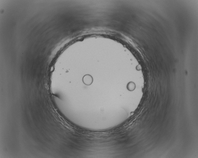 X0000067871312200605111749