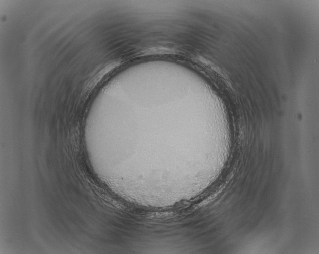 X0000067871313200605111749