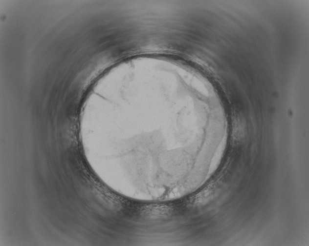 X0000067871314200605111749