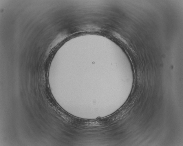 X0000067871315200605111749