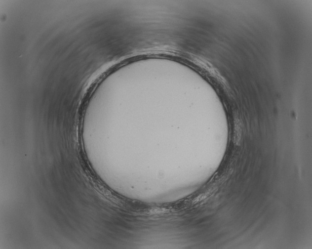 X0000067871316200605111749