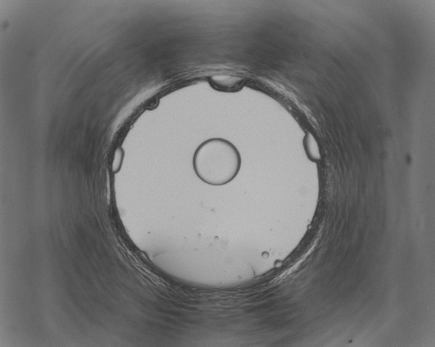 X0000067871317200605111749