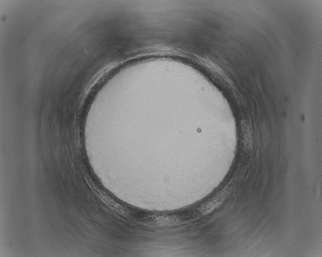 X0000067871318200605111749