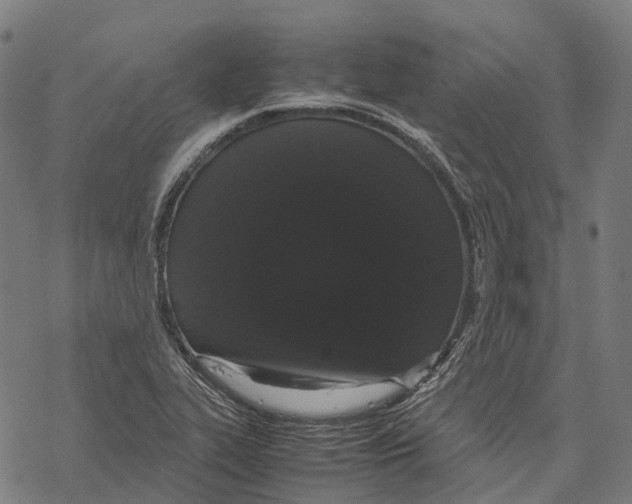 X0000067871319200605111749