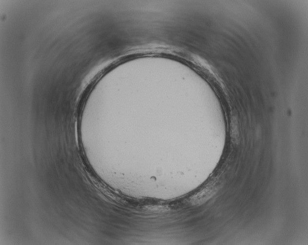 X0000067871320200605111749