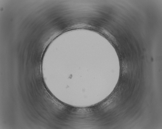 X0000067871322200605111749