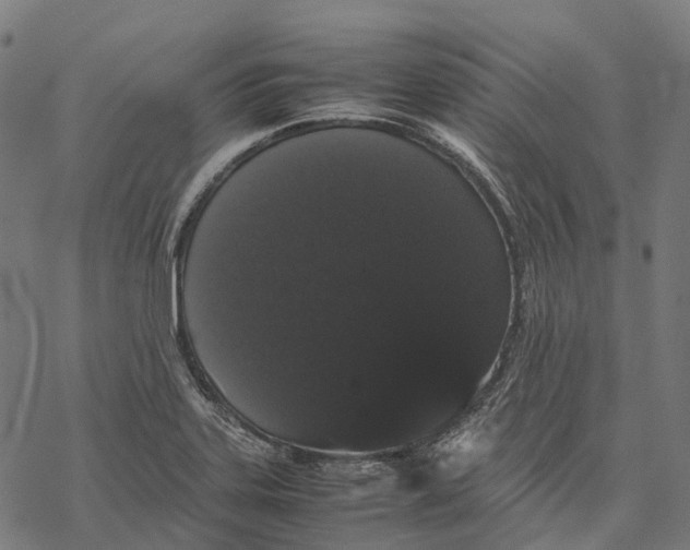 X0000067871323200605111749