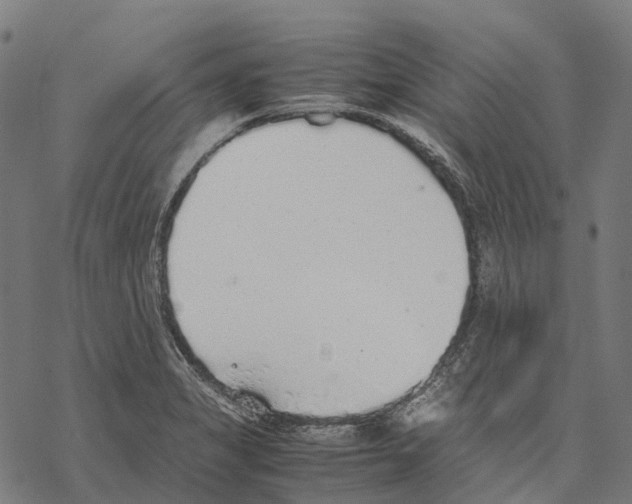 X0000067871325200605111749