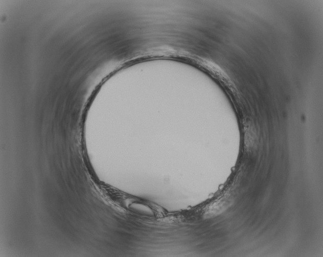 X0000067871326200605111749