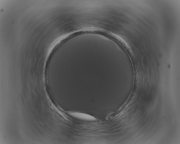 X0000067871327200605111749