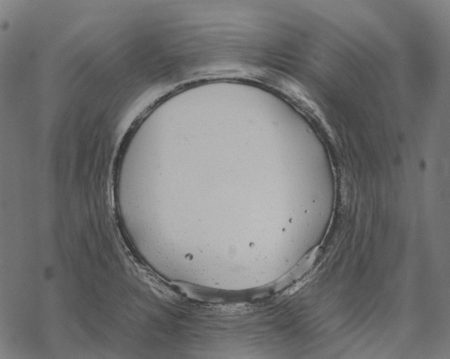 X0000067871328200605111749