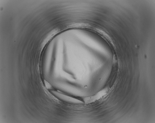 X0000067871330200605111749