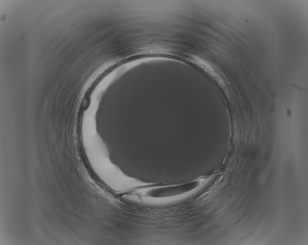 X0000067871331200605111749