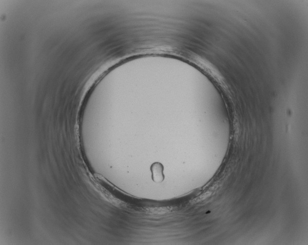 X0000067871332200605111749