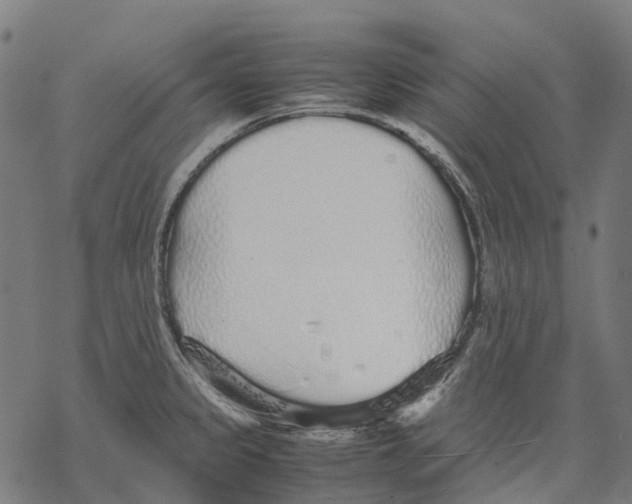 X0000067871333200605111749