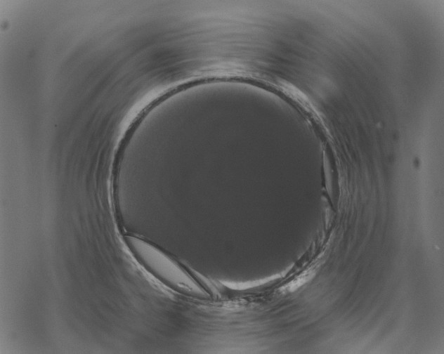 X0000067871334200605111749