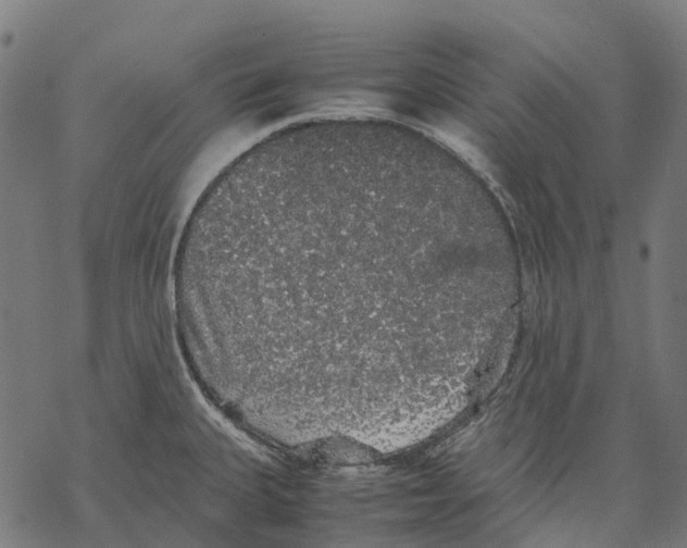 X0000067871335200605111750