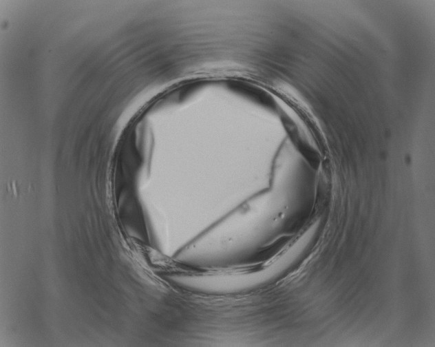 X0000067871336200605111750