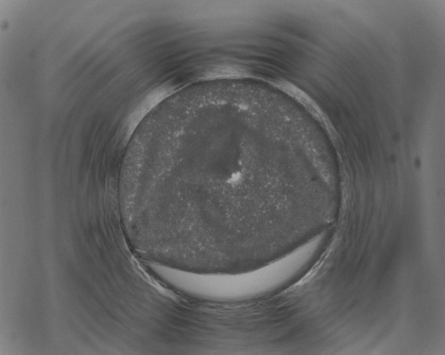 X0000067871337200605111750