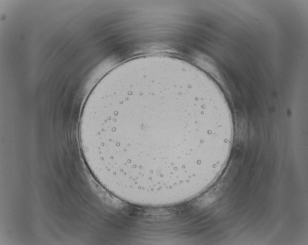 X0000067871338200605111750