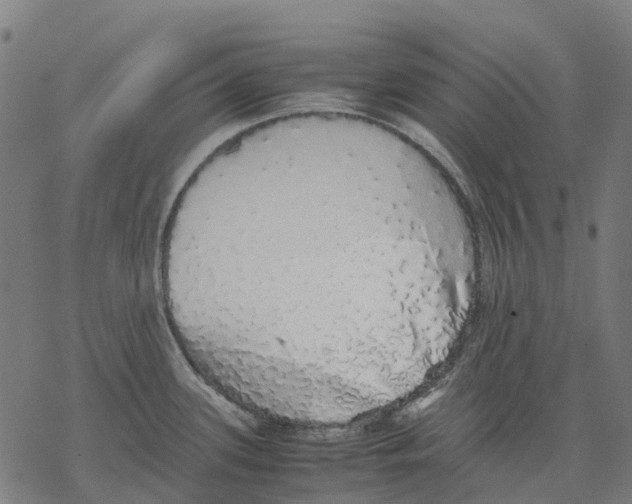 X0000067871339200605111750