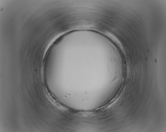 X0000067871340200605111750