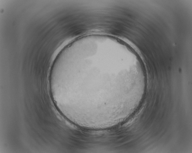 X0000067871341200605111750